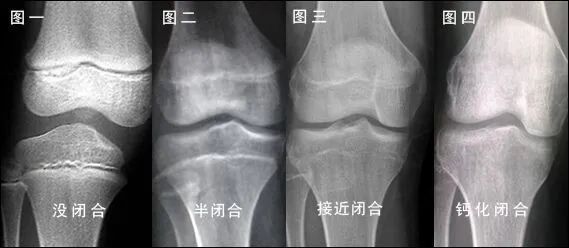 媽媽介紹孩子_媽寶介紹孩子的話_兩個(gè)孩子寶媽的自我介紹